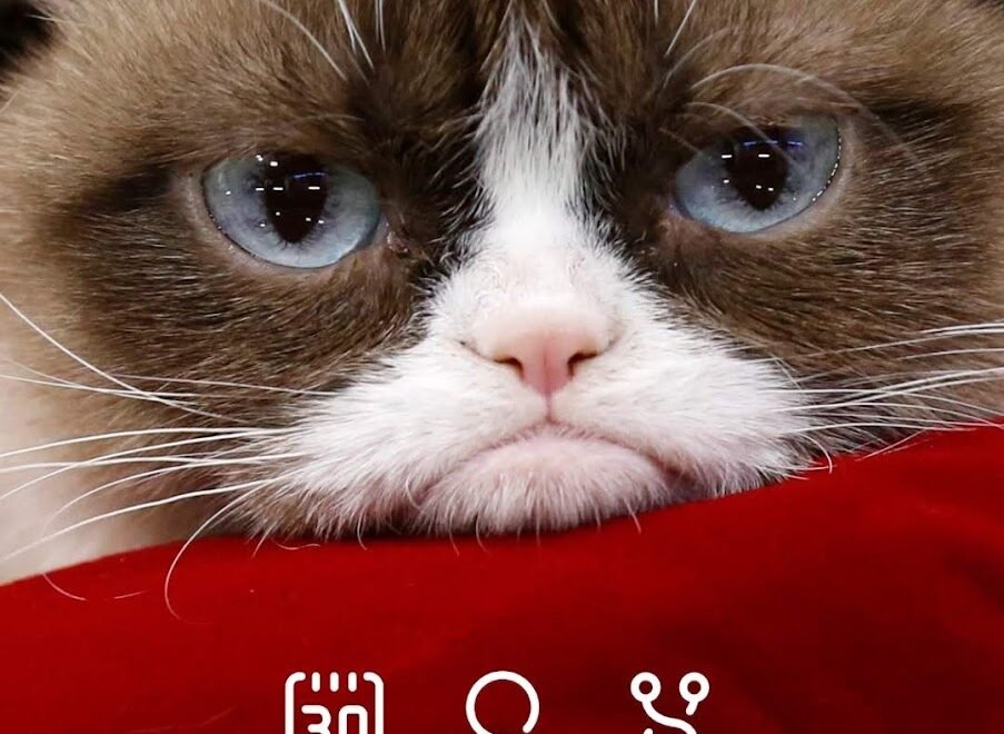 My phone interface